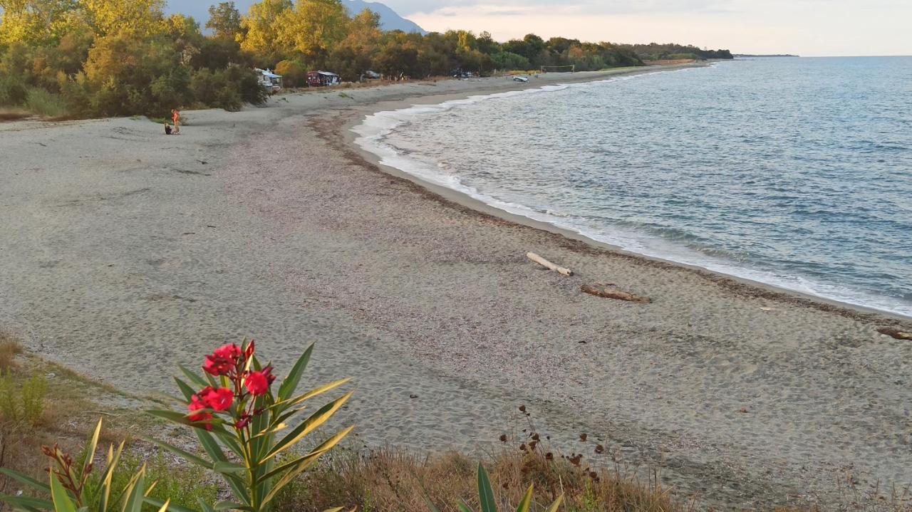 Les Jardins De La Mer Marine De Bravone - 2 Chambres A Lit Plus Sofa Avec Piscine A Cote Mer Linguizzetta Dış mekan fotoğraf