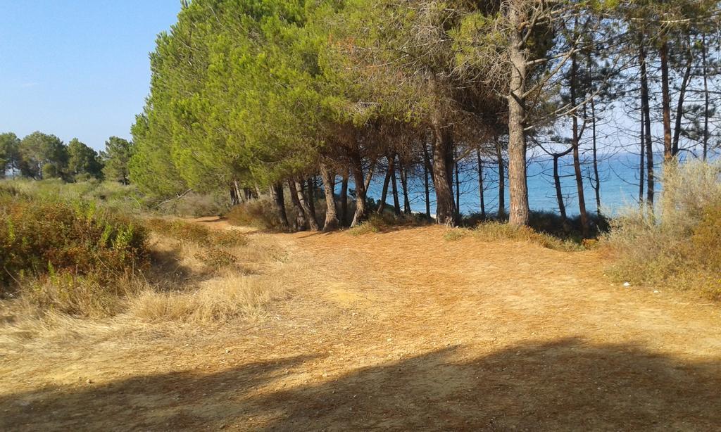 Les Jardins De La Mer Marine De Bravone - 2 Chambres A Lit Plus Sofa Avec Piscine A Cote Mer Linguizzetta Dış mekan fotoğraf