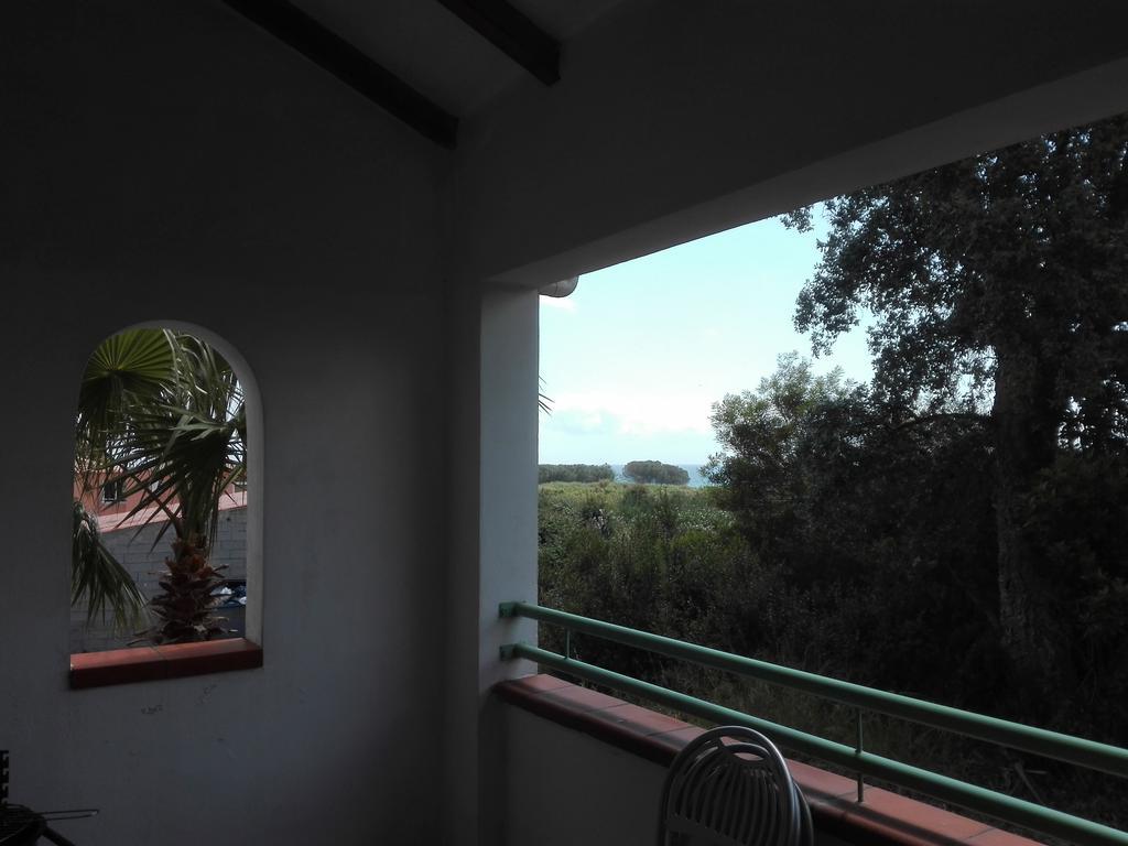 Les Jardins De La Mer Marine De Bravone - 2 Chambres A Lit Plus Sofa Avec Piscine A Cote Mer Linguizzetta Dış mekan fotoğraf